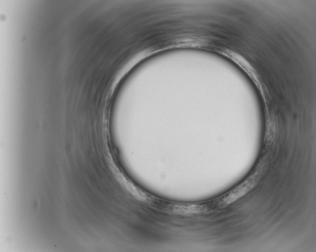 X0000086330859200704271940