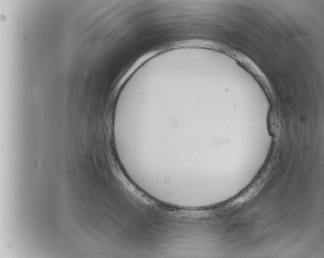 X0000086330860200704271940