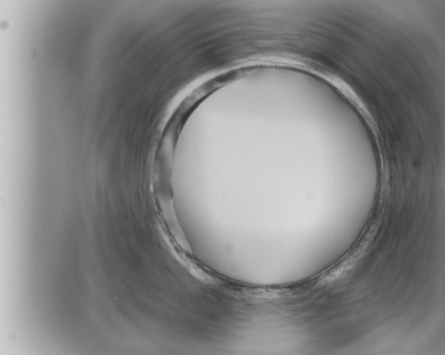 X0000086330862200704271940