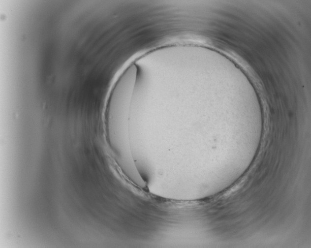 X0000086330864200704271940