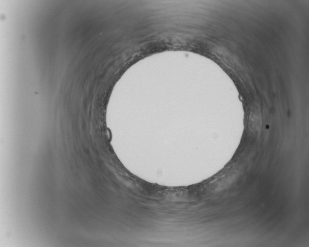 X0000086330865200704271940