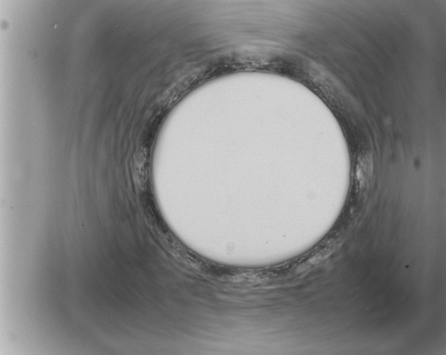 X0000086330867200704271940