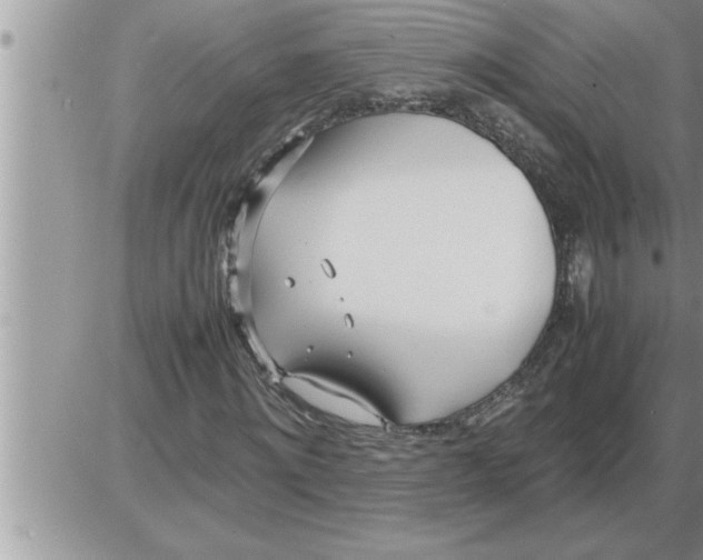 X0000086330868200704271940