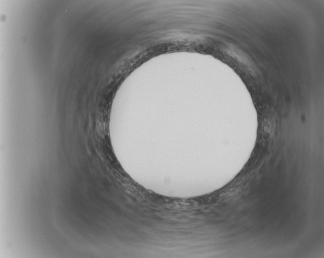 X0000086330869200704271940