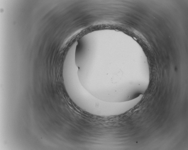 X0000086330872200704271940