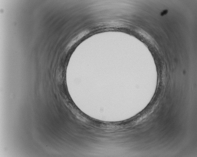 X0000086330873200704271940