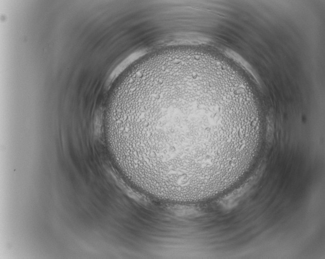 X0000086330874200704271939