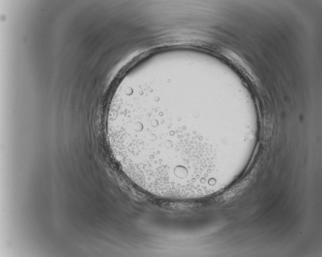 X0000086330875200704271939