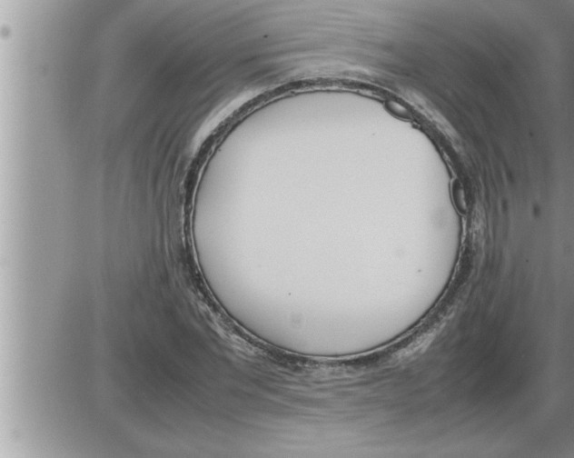 X0000086330877200704271939