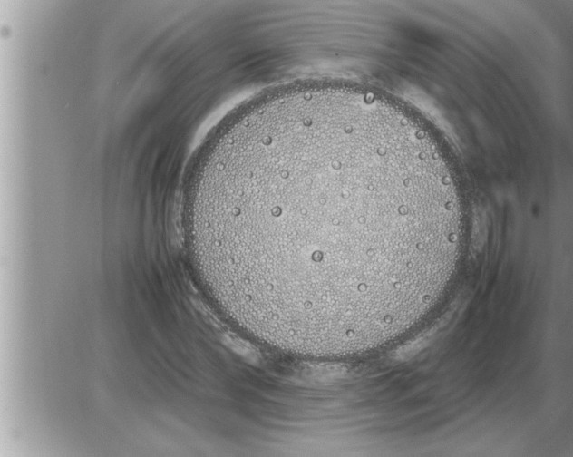 X0000086330878200704271939