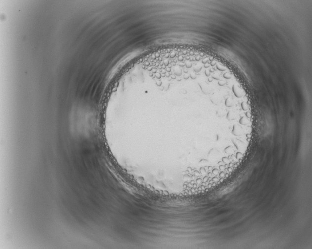 X0000086330882200704271939