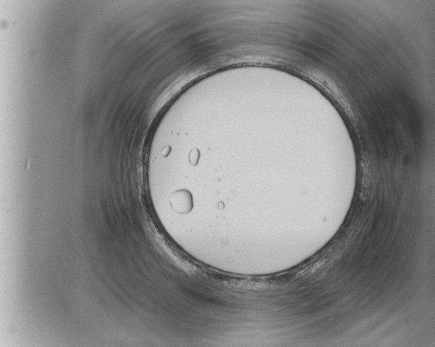 X0000086330890200704271939