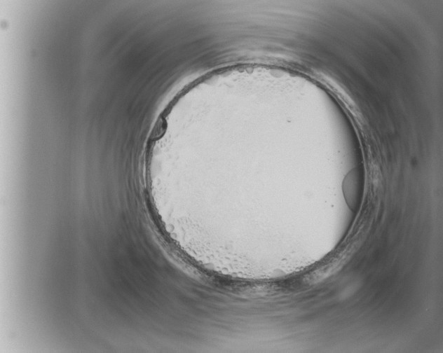 X0000086330891200704271939