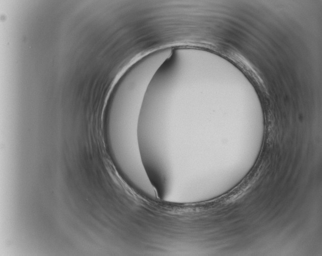 X0000086330892200704271939