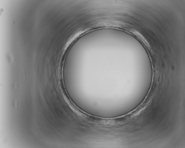 X0000086330893200704271939