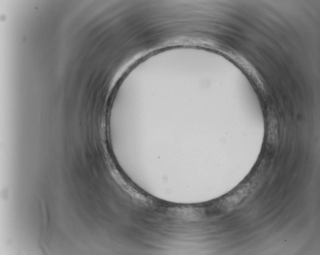 X0000086330896200704271939