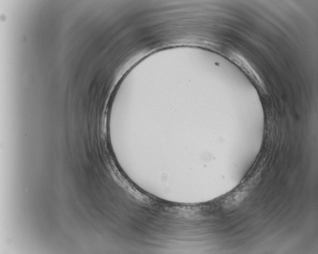 X0000086330900200704271939