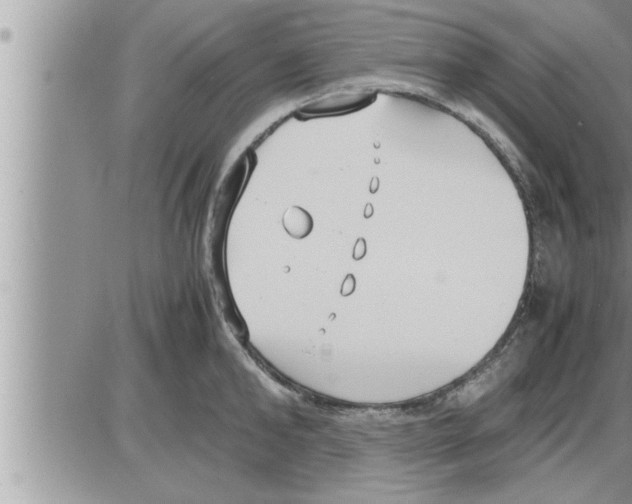 X0000086330902200704271939