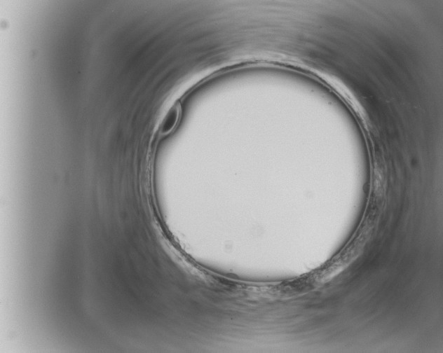 X0000086330903200704271939