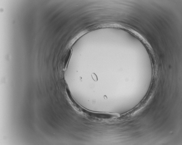 X0000086330905200704271939