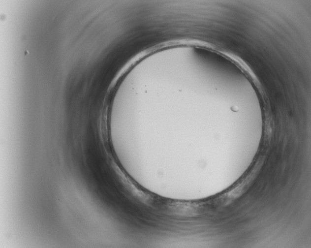 X0000086330910200704271939