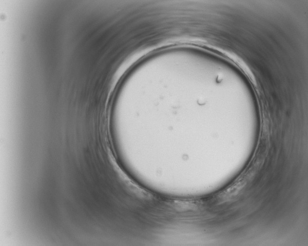 X0000086330911200704271939