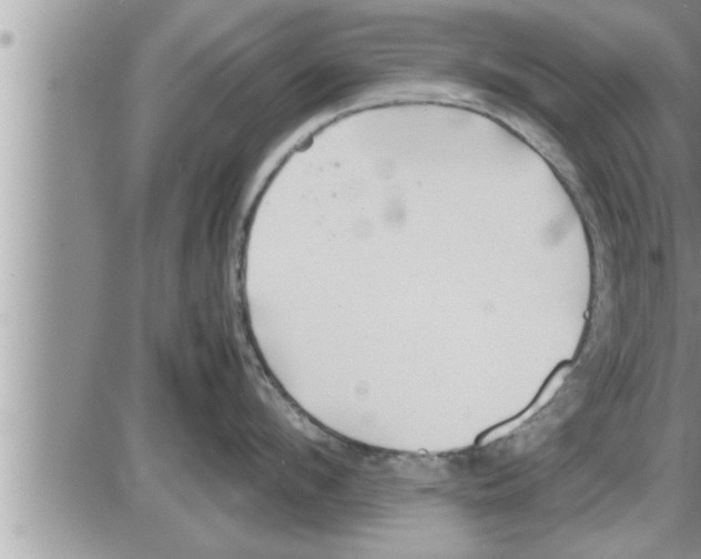 X0000086330912200704271939