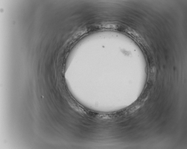 X0000086330913200704271938