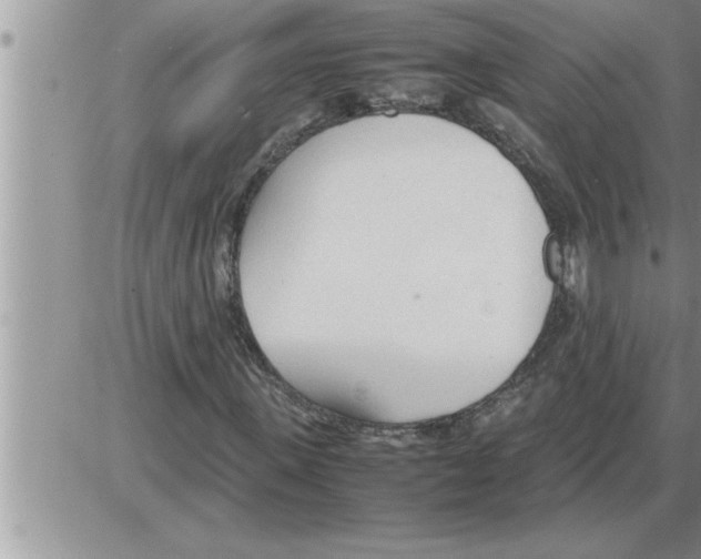 X0000086330915200704271938