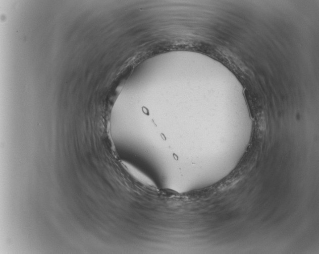 X0000086330916200704271938