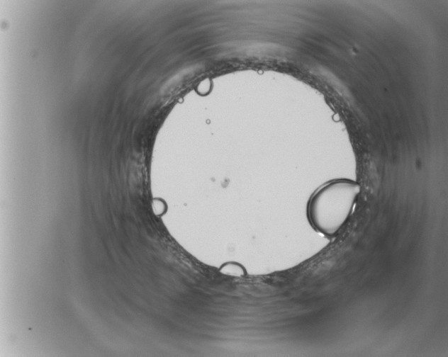 X0000086330918200704271938