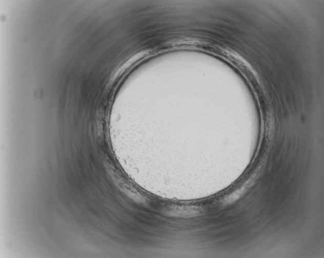 X0000086330921200704271938