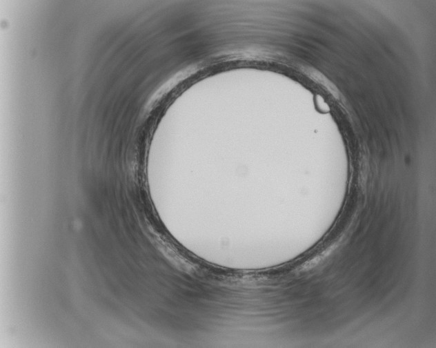 X0000086330922200704271938