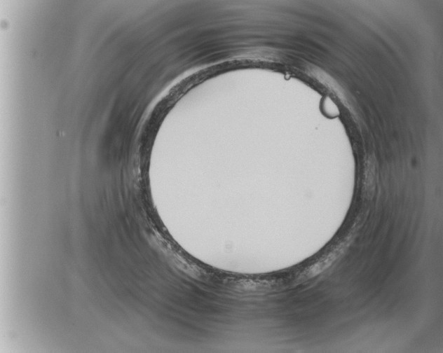 X0000086330923200704271938