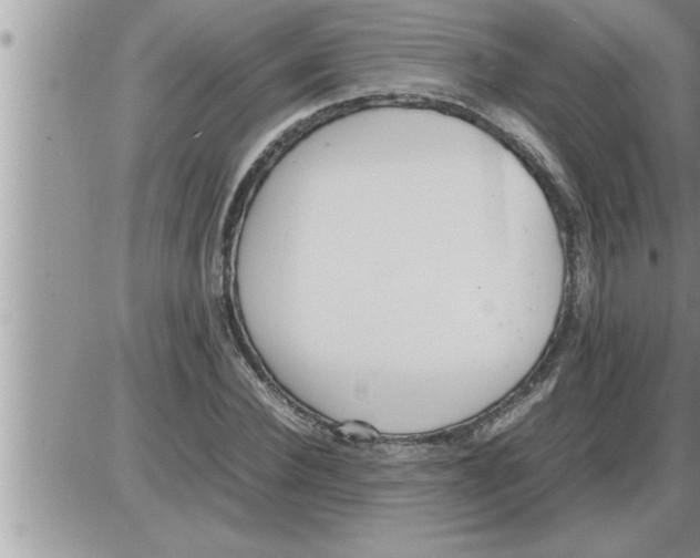 X0000086330924200704271938