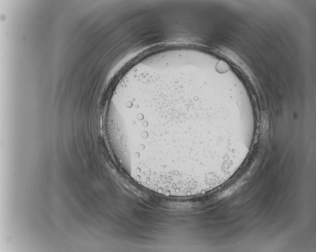 X0000086330925200704271938