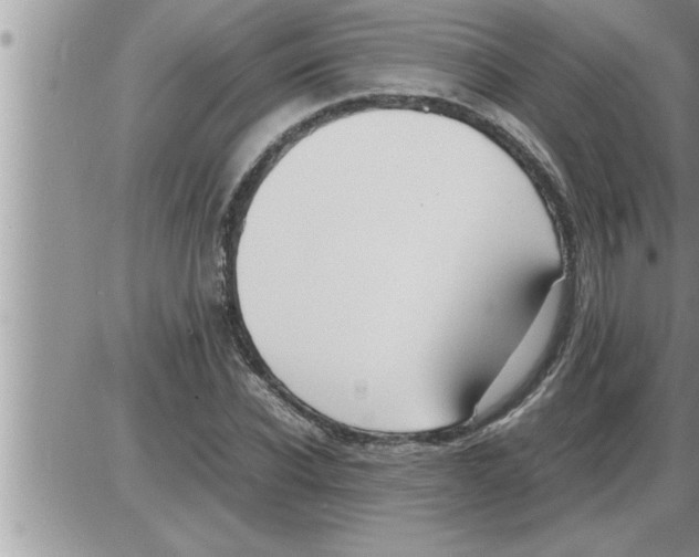 X0000086330926200704271938