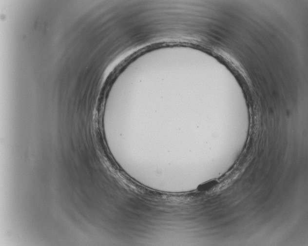 X0000086330928200704271938