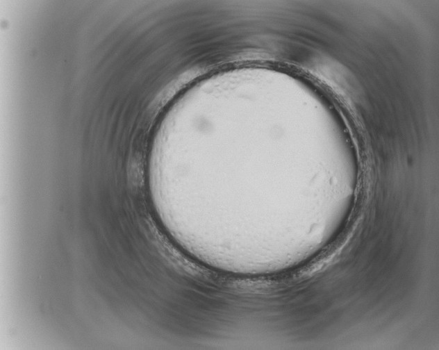 X0000086330929200704271938