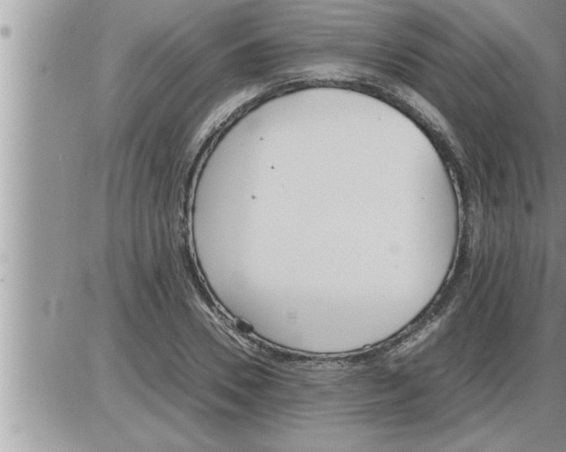 X0000086330930200704271938