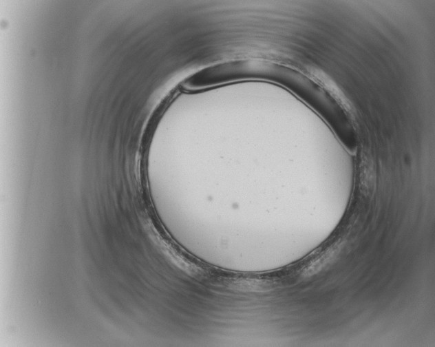 X0000086330932200704271938