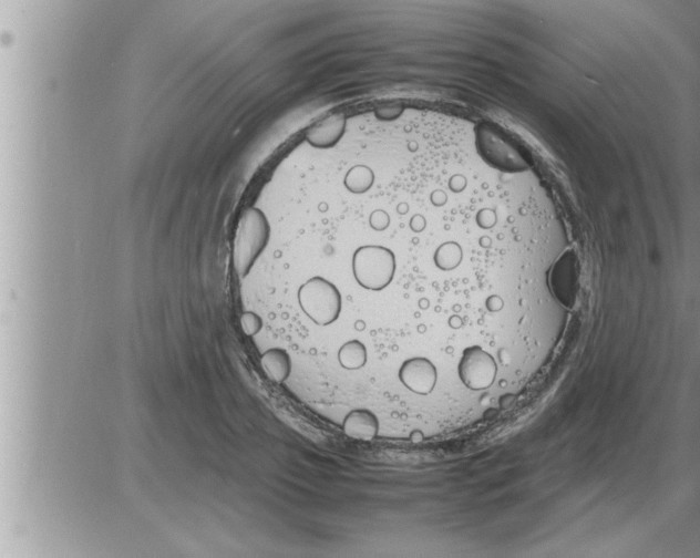 X0000086330933200704271938