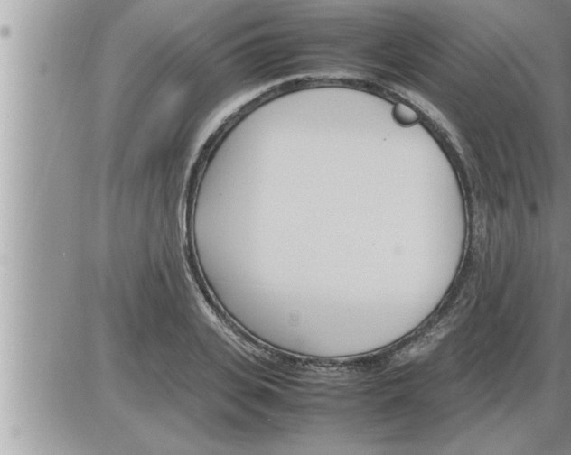 X0000086330935200704271938