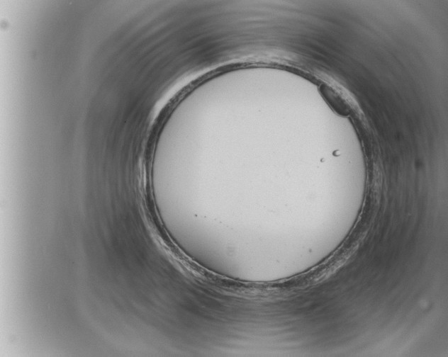 X0000086330936200704271938