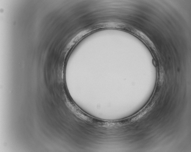 X0000086330938200704271938