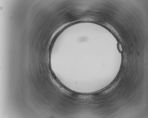 X0000086330939200704271939