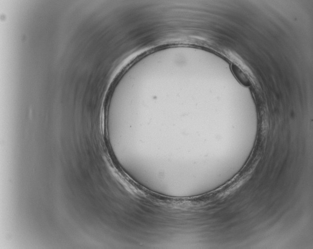 X0000086330940200704271939