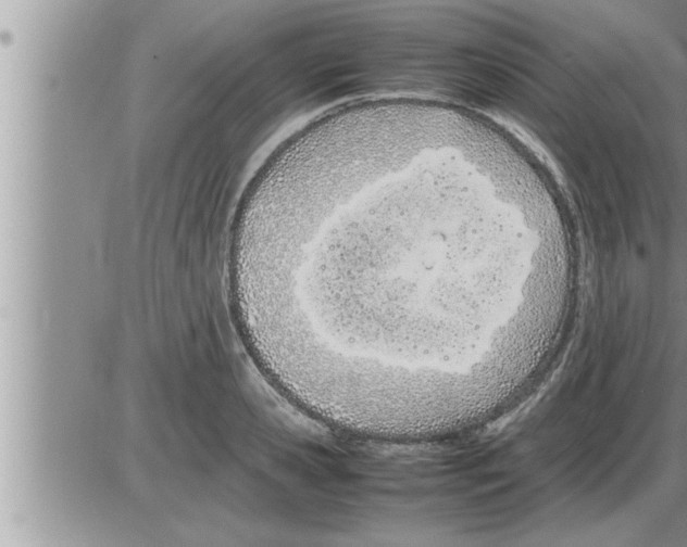 X0000086330941200704271939