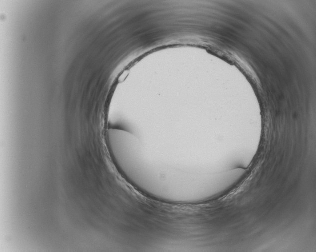 X0000086330944200704271939