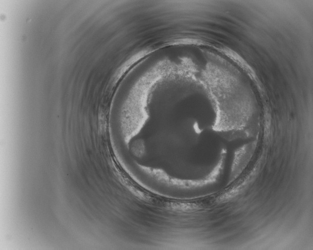 X0000086330945200704271939